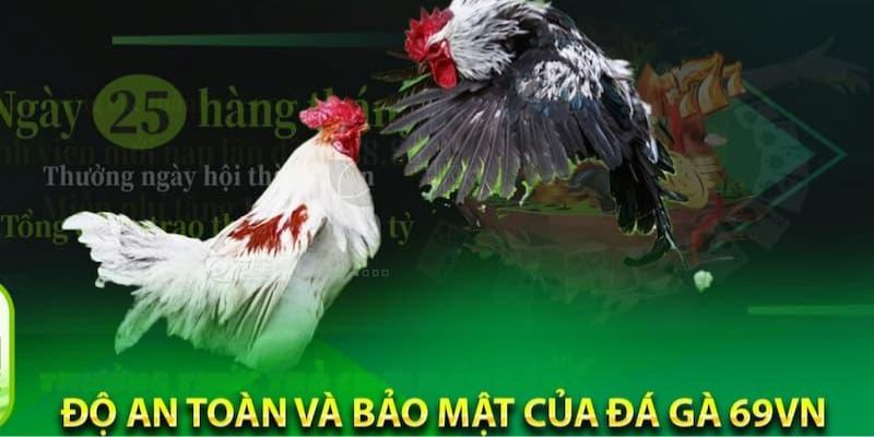 Các ưu điểm nổi bật có ở sảnh đá gà tại nhà cái 69VN